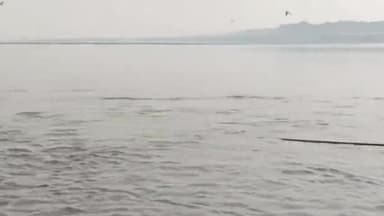 जय गंगा मईया।🚩🙏 #ganga #sangam #prayagrajkhabar #siddhanttripathisanatani