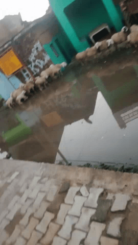 झांसी: जरबो में नाले को अवैध तरीके से बंद कर देने के कारण लोगो का निकला मुस्किल #dmjhansi @dmnewsmrj #barekingnews