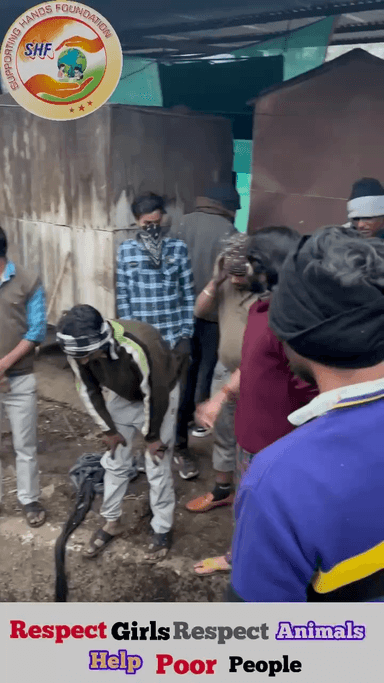 ग्वालियर गिर्द: में अपना कर्म कर रहा हु
Respect Girls help poor help animals
#apsgurjar#supportinghandsfoundation #cow #help #animals