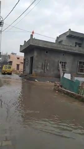 रोहतक: Rohtak || Uttam Vihar colony gali No.1 || #rohtak #haryana #rohtakcity #shorts #viral #trending  #haryana