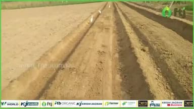 Watermelon cultivation: तरबूज की बुवाई के लिए इस कृषि यंत्र से करें बेड की तैयारी
#watermelon #agricultural #farming