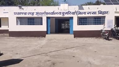 डुमरिया: मैगरा डुमरिया के बीच सड़क किनारे गिरा वृक्ष दुर्घटना का दे रहा है संकेत #saftyfirst