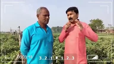 एक बीघे में बैगन की खेती से कैसे करें हजारों की कमाई
#bringal #farming #agriculturelife #farming