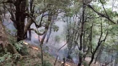 पंखु: लोहाथल क्षेत्र के जंगलों में धधकी हुई आग