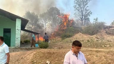 बड़ोह: राजकीय महाविद्यालय बड़ोह के पास जंगल में लगी आग, नगरोटा अग्निशमन कर्मियों ने आग पर काबू पाया