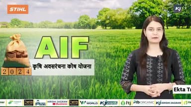 किसानों के लिए वरदान है AIF Scheme, सालाना कर सकते हैं 6 लाख रुपये तक की बचत, जानें कैसे करें आवेदन
#agriculture #farm