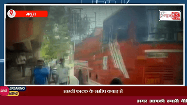 मथुरा: बीते शुक्रवार मछली फाटक के समीप कबाड़ में लगी भीषण आग, समय रहते आग पर पाया काबू
#फायर #मथुरा #मछली_फाटक #mathura_fire #न्यूज़ #यूपी #upnews