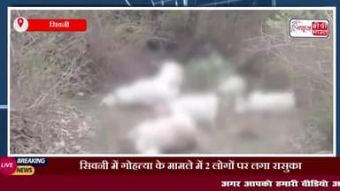 सिवनी में गोहत्या के मामले में 2 लोगों पर लगा रासुका, कलेक्टर व एसपी का हुआ तबादला
#सिवनी #गाय #एसपी #गोहत्या