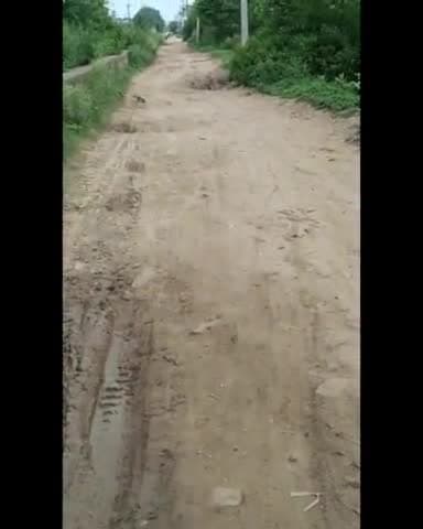 बाबा हॉस्पिटल रोड नहरिया तकरोही से बाबा हॉस्पिटल की रोड का बहुत बुरा हाल है आए दिन यहां एक्सीडेंट होते रहते हैं #लुक