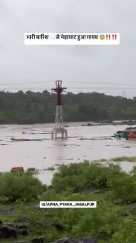 भारी बारिश से भेड़ाघाट में बढ़ा जलस्तर ‼️‼️
#jabalpur #bhedaghat #jabalpur_city #barish
#breakingnews
