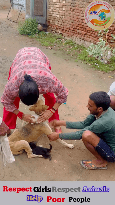 प्यार तो सबने किया 🥺❤️🩹
लेकिन हमसे प्यार किसी ने नहीं किया 🦮💔
Respect Girls help poor help animals
#apsgurjar #love #real #break #hart