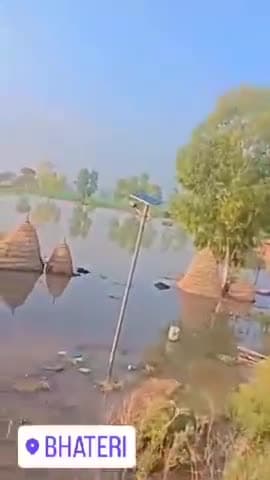 जिला कुरूक्षेत्र तह. पिहोवा गांव भटेरी बीपीएल कॉलोनी का बुरा हाल