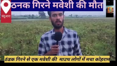 #आकाशवाणी गिरने से एक मवेशी की हुई मौत#किसान का रो-रो कर बुरा हाल#Rahui prakhand ka पंचायत के सोसंदी ग्राम चंदुआरा