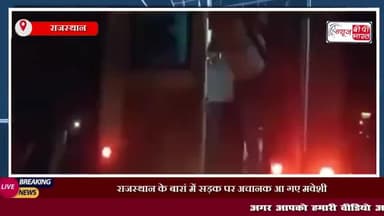 राजस्थान के बारां में सड़क पर अचानक आ गए मवेशी
#राजस्थान #बारां #सड़क #मवेशी #बचाने #चक्कर #बेकाबू