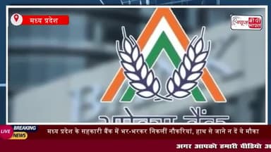 मध्य प्रदेश के सहकारी बैंक में भर-भरकर निकलीं नौकरियां
#मध्यप्रदेश #सहकारी #बैंक #निकलीं #नौकरियां