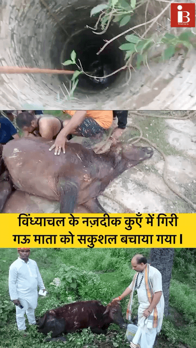 विंध्याचल के नज़दीक कूएँ में गिरी गौ माता को सकुशल बचाया गया l
#mirzapur #animal #cow #save #savelife #today #news