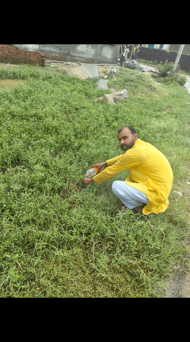 महर्षि विश्वामित्र फाउंडेशन के सम्मानित सदस्य नागेंद्र सिंह जी द्वारा सावन मास की चौथी सोमवारी को धार्मिक महत्व के पौधे लगाए गए #reels #StarsEverywhere #बक्सर राज कुमार चौबे बक्सर बक्सर, मिनी काशी Nitish Kumar Narendra Modi