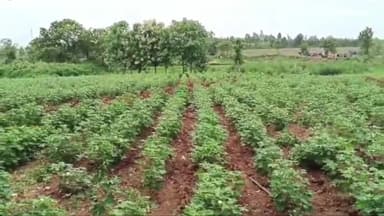 పాల్వంచ: పేద రైతులకు న్యాయం చేయవలసిన అధికారులే అన్యాయం చేస్తారా... పాల్వంచలో అధికారులతో వాగ్వాదానికి దిగిన రైతులు