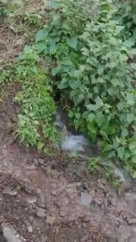 भारी बारिश से लोगों के घरों मेँ पानी गुस्सा