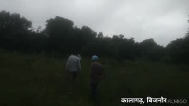 कालागढ़ में बाघ ने गाय को बनाया अपना शिकार
घर से उठाकर ले गया बाघ
#कालागगढ़ #बाघ #गाय