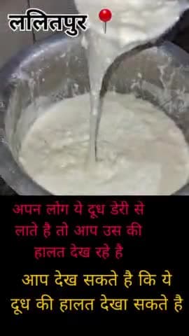 ललितपुर < के दूध डेरी पर ये दूध आ रहे है.
आप लोग इस तरह से देख समझ सकते है
#ललितपुर #दूध