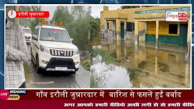 Mathura: #सुरीर थाना क्षेत्र के गाँव इरौली जुन्नारदार में भारी बारिश से फसलें बर्बाद | #SDM ने किया निरीक्षण...
#mathura #IrauliJunnardar #किसान #प्रेस #न्यूज़ #यूपी