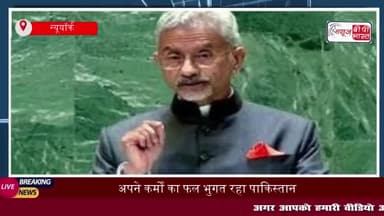 अपने कर्मों का फल भुगत रहा पाकिस्तान', UN में जयशंकर ने PAK को धोया
#अपने #कर्मों #फल #भुगत #पाकिस्तान #UN #जयशंक