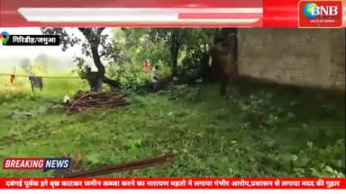 दबगई पुरवक हरे पेड़ों को कैसे काट रहे हैं तेत्रभूज महतो #झिंझरी #नारायण महतो जी का पेड़ जबरन काटा कर जमीन कब्जा कर