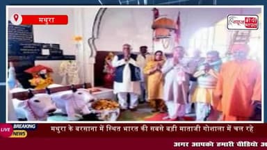 मथुरा के बरसाना में स्थित भारत की सबसे बड़ी माताजी गोशाला में चल रहे नौ दिवसीय
#मथुरा #बरसाना #स्थित #गाय #माता