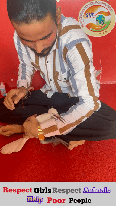 इसके पंख को क्या हुआ होगा 🥺
बहुत दर्द में था🦩
Respect Girls help poor help animals
#apsgurjar #help #support #viral #gwalior #bird
