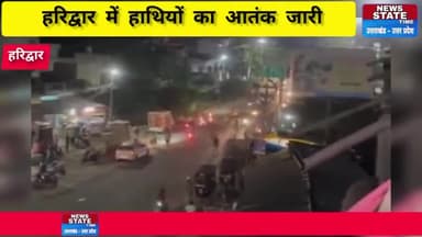 हरिद्वार के रिहायशी इलाके में हाथियों का आतंक
#viralvideo
#uttrakhandnews