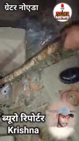 ग्रेटर नोएडा में एक शराबी गटर में गिर गया रास्ते में जा रहे लोगों ने उसको निकाला || #News #Delhi #drink @voicenewsplus