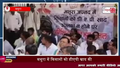 मथुरा में डीएपी खाद की किल्लत: किसानों के समर्थन में उतरी कांग्रेस, दिया धरना
#मथुरा #डीएपी #खाद #किल्लत #किसानों