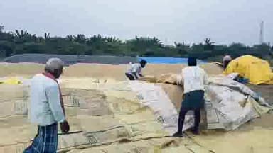 తోట్లవల్లూరు: రైతులను ప్రభుత్వం తక్షణమే ఆదుకోవాలి మాజీ ఎమ్మెల్యే కైలా అనిల్ కుమార్ డిమాండ్