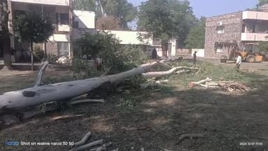 @news18plus
@news_live
#save trees
aaj nayapura rtdc hotel knyha trees kate ja rhe h