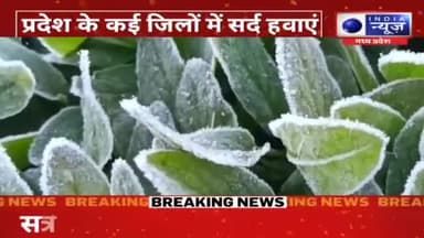 "कबीरधाम बना मिनी शिमला, सर्दी के सितम से जमी ओस की चादर"
#kawardhanews #kawardha #कवर्धा