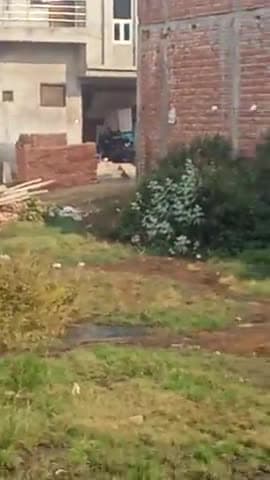ward no . 05 #samalkha me khule me bahaya jara h ganda pani badbu or Gandgi se bura haal #mcsamalkha