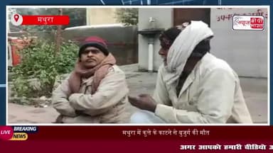 मथुरा में कुत्ते के काटने से बुजुर्ग की मौत, रेबीज की अनदेखी का खामियाजा
#मथुरा #कुत्ते #काटने #बुजुर्ग #मौत