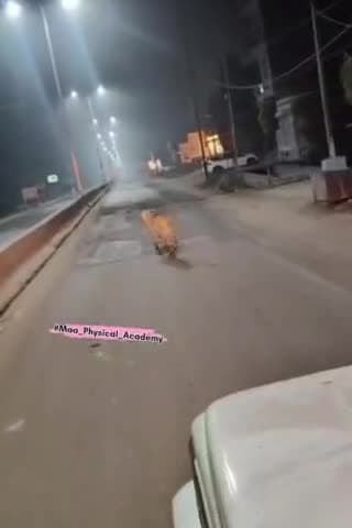 कल रात श्योपुर के कलेक्ट्रेट के पास शिवपुरी रोड पर नजर आया चीता।
कूनो नेशनल पार्क से 90 किलोमीटर दूर
#श्योपुर