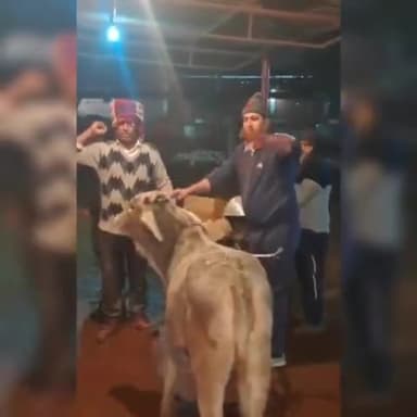 shree Alakh Goshala Bahal 😍
#bahal #bhiwani #haryana #gaushala #goshala #viralvideo #viralpost #behal #bahalbhiwani