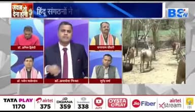 #गौतस्करी , #गौवध और #गोकशी पर #गदर!
BS TV - 1
#छत्तीसगढ़ #Chhattisgarh #सीजी #chhttishgarhnews
#CG #गाय #गौमाता #गौहत्या