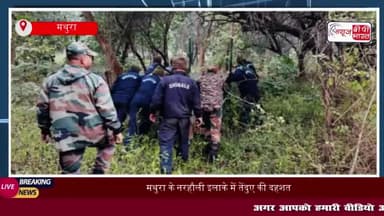 मथुरा के नरहौली इलाके में तेंदुए की दहशत, वीडियो वायरल, वन विभाग की टीमें सक्रिय
#मथुरा #नरहौली #इलाके #तेंदुए