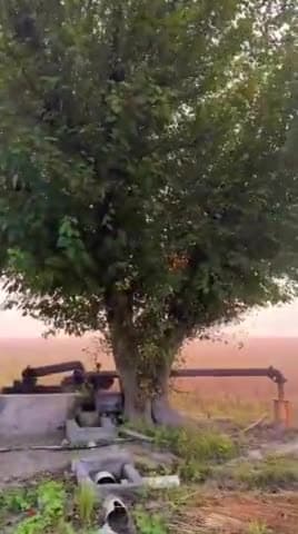 गांव का जीवन 😍 village life #gaon #villagelife #culture #pahale #hinde #nature #shorts #shortsvideo @AJDBRO