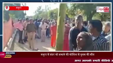 मथुरा में बंदर को बचाने की कोशिश में युवक की मौत, गुस्साए लोगों ने किया हंगामा
#मथुरा #बंदर