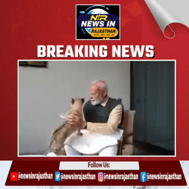 #शेर की गोद में शेर मोदी ने शेर के बच्चों के साथ बिताया समय #modi #मोदी #news #दिल्ली #गुजरात