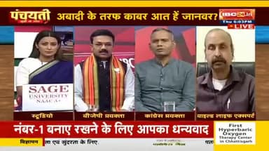 #हाथी #भालू #तेंदुआ #जंगली_जानवर #आमने_सामने IBC - 1 #छत्तीसगढ़ #Chhattisgarh #chhattisgarhnews