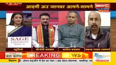#हाथी #भालू #तेंदुआ #जंगली_जानवर #आमने_सामने IBC - 2 #छत्तीसगढ़ #Chhattisgarh #ChhattisgarhNews