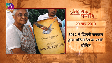 Sansad tv विश्व गौरैया दिवस #faridabad #फरीदाबाद #bird #ballabhgarh #delhi #ncr #palwal #india #bansgaon #gola #mau