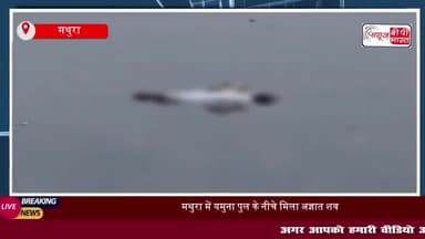 मथुरा में यमुना पुल के नीचे मिला अज्ञात शव, मचा हड़कंप; शिनाख्त में जुटी पुलिस
#मथुरा #यमुना #पुल