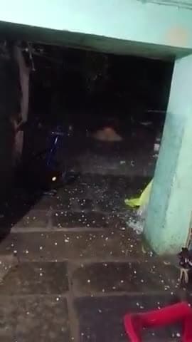 Madhuban Kala gram panchayat Girvani rat 9 baje tej aadhi ke sath ole gire aam nibu sabji ki fhasal caupat